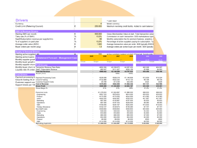 Financieel Model Marketplace & platform template